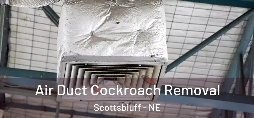  Air Duct Cockroach Removal Scottsbluff - NE