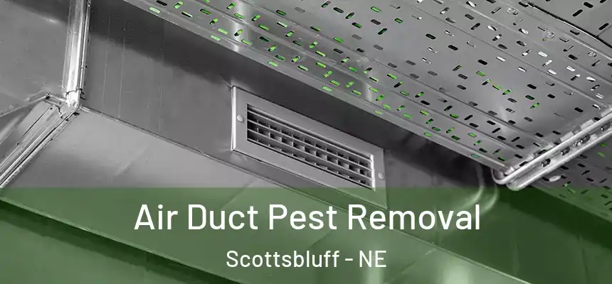  Air Duct Pest Removal Scottsbluff - NE