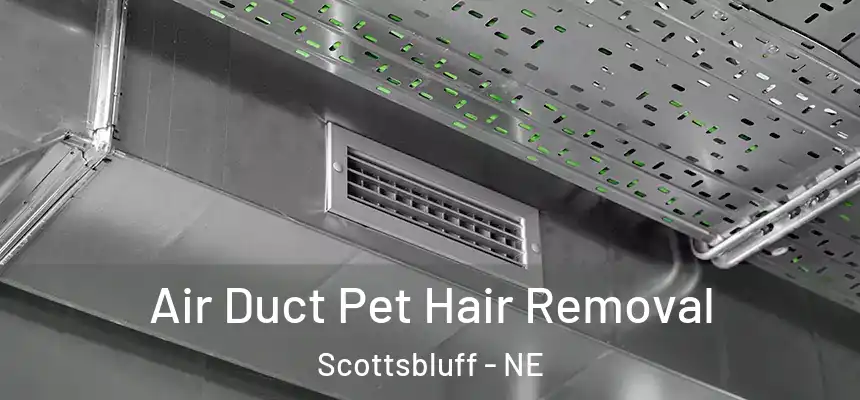  Air Duct Pet Hair Removal Scottsbluff - NE