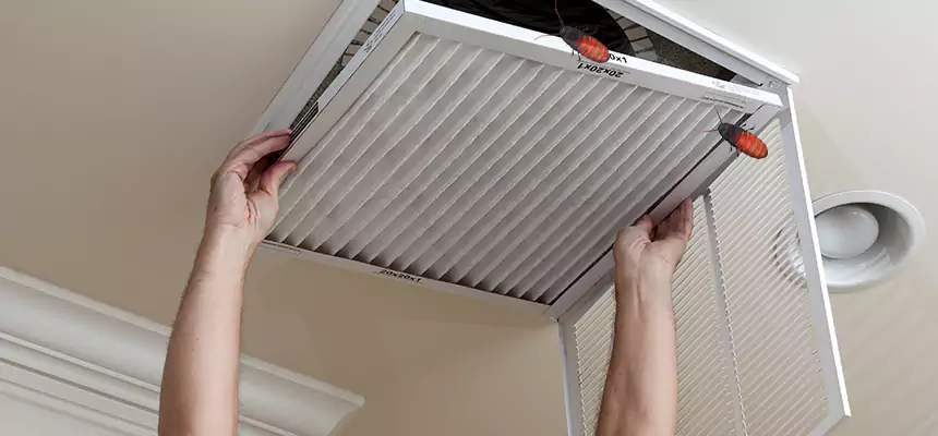 Preventive Cockroach-Proofing for Ducts in Scottsbluff