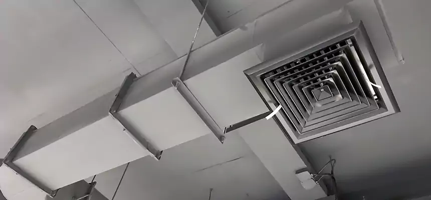 Our Pest Removal From Ducts Services in Scottsbluff, NE