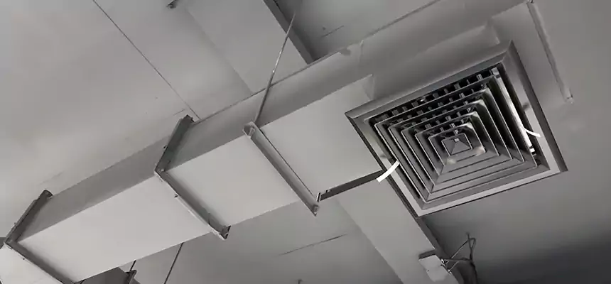 Our Rodent Droppings In Vents Services in Scottsbluff, NE