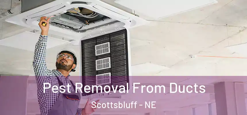 Pest Removal From Ducts Scottsbluff - NE