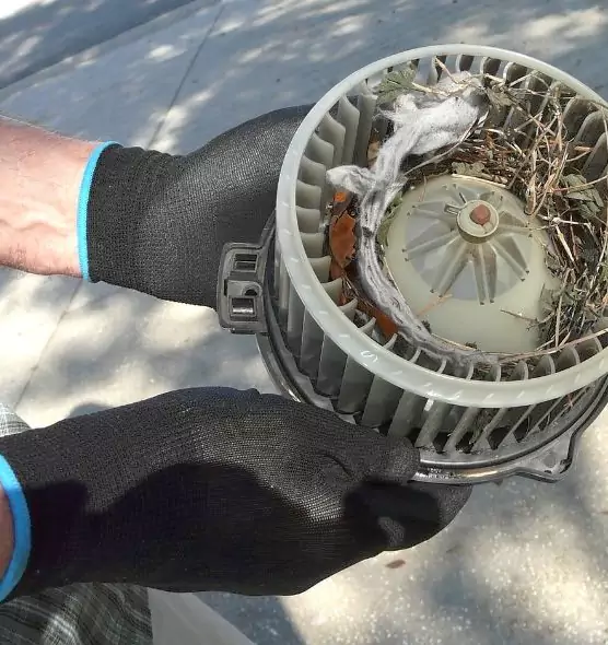 About Air Duct Mice Removal in Scottsbluff, NE