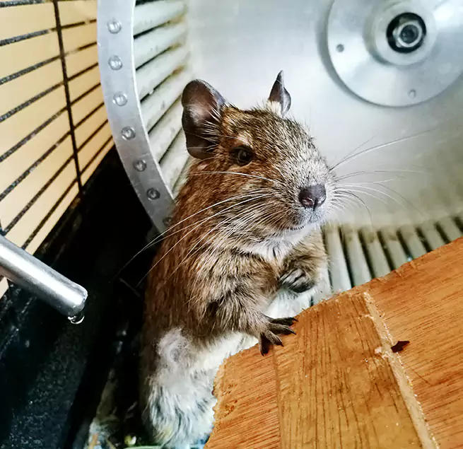 Why Homeowners & Businesses Trust Us Scottsbluff, NE?